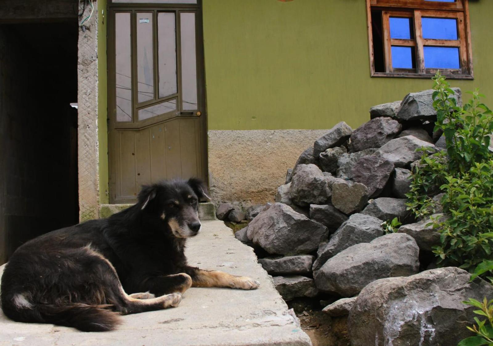 Posada Del Viajero - Mayan Travelers Inn Санта-Круз-Ла-Лагуна Екстер'єр фото